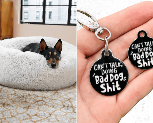 Pets Are Family! cover photo collage