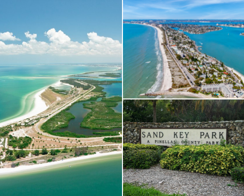 The Best of Tampa Bay cover photo collage