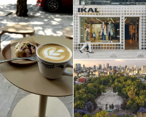 Mexico City Like You've Never Felt It cover photo collage