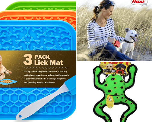 Animal Favorites 😍 cover photo collage