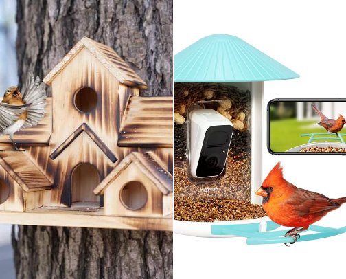 🐈‍⬛🐕Pets and Birds 🐦 cover photo collage