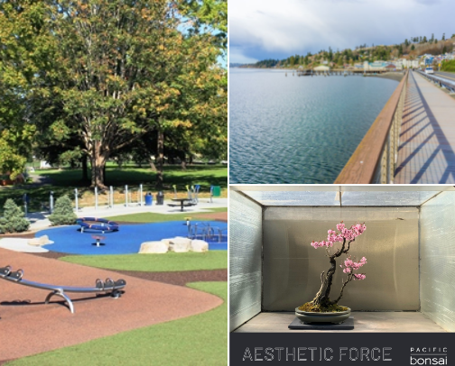 Western Washington Wonders cover photo collage