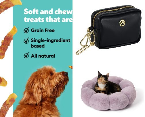 Equipment for dogs 🐕💯 cover photo collage