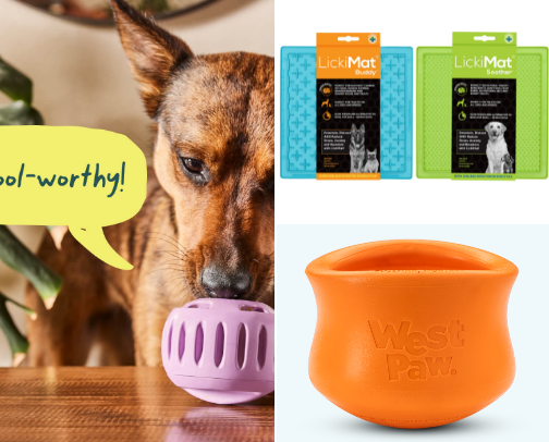 Dog stuff for crazy dog parents cover photo collage