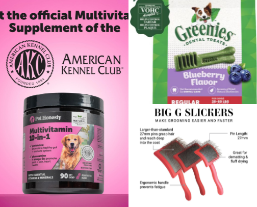 Favorites for My Pup 🐶 cover photo collage