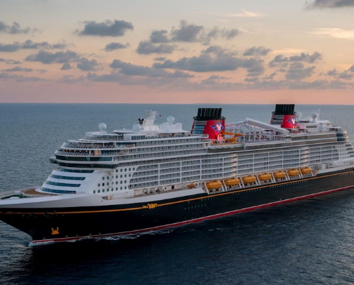 DCL Items cover photo collage