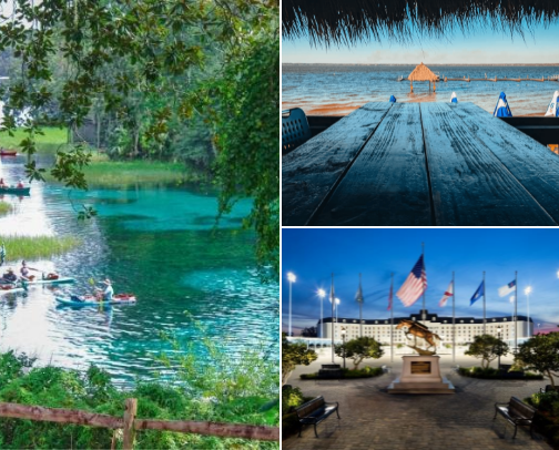 Things to do in Ocala 🐴 cover photo collage