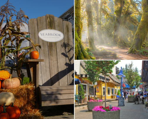 Enchanting Quaint Washington State Towns- Paths Less Traveled✨ cover photo collage