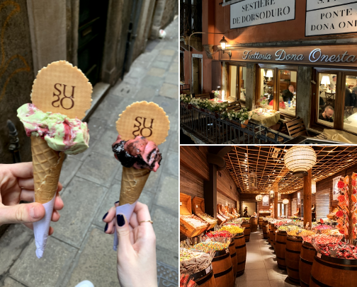 Wander Through Venice: Unforgettable Sights and Hidden Gems cover photo collage