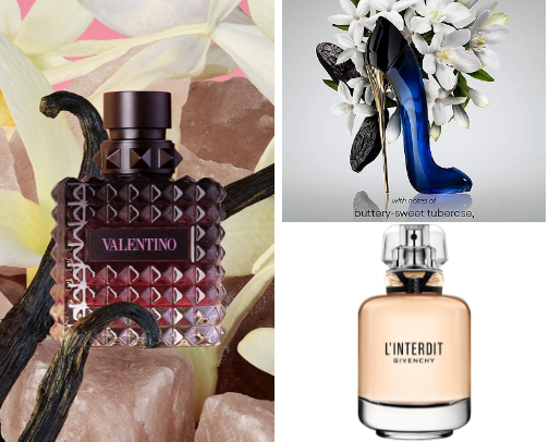 Head-Turning Fragrances cover photo collage