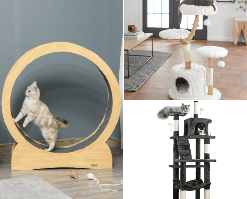 Fun cat toys/stuff cover photo collage