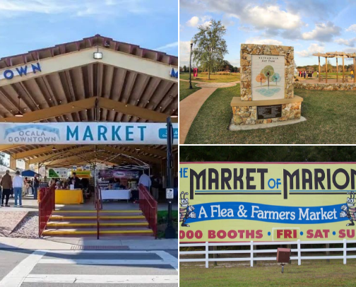 All the fun activities cover photo collage