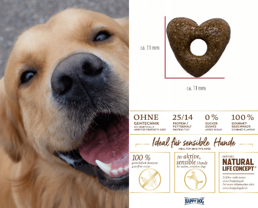 Happy dog cover photo collage