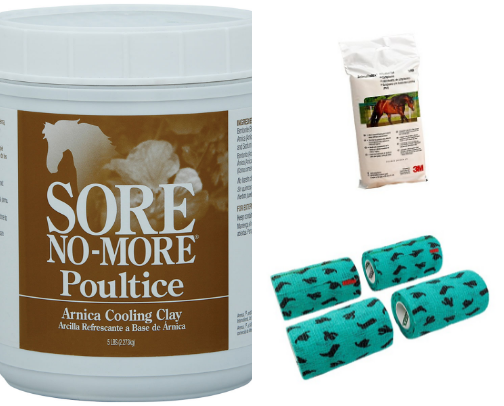 Horsey First Aid and Medical Supplies: What every horse owner should have on hand cover photo collage