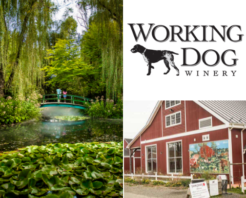 Fall fun in NJ cover photo collage