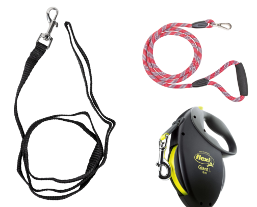 Dog Leashes I Tried After My Arm Nearly Got Yanked Off cover photo collage