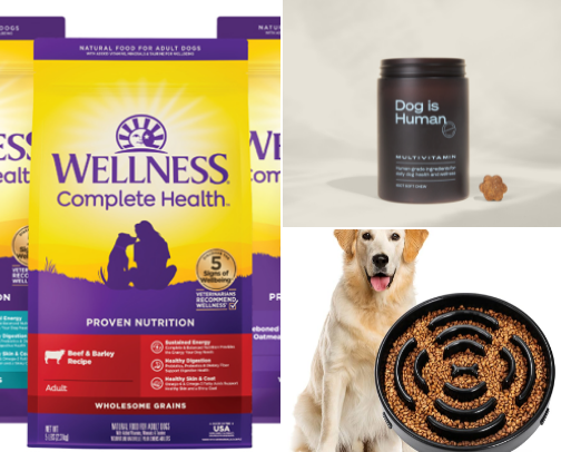 Everyday Dog Essentials: All Breeds cover photo collage