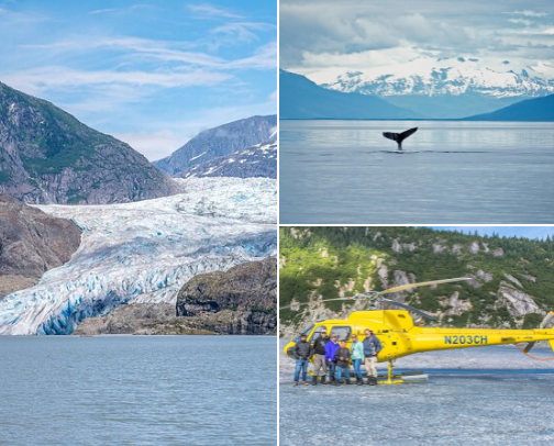 Top things to do in Juneau, Alaska cover photo collage