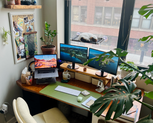 Aesthetic Office Accessories cover photo collage