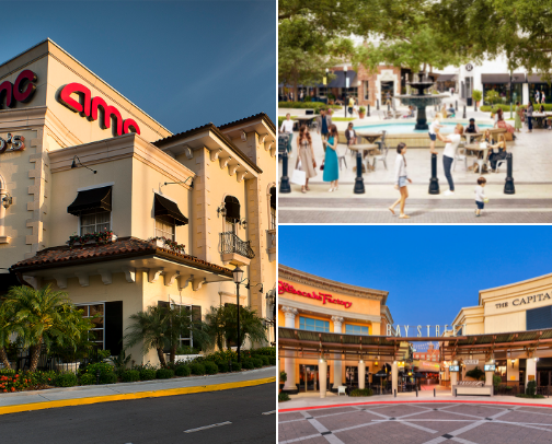 Best Places to shop in Tampa Florida cover photo collage