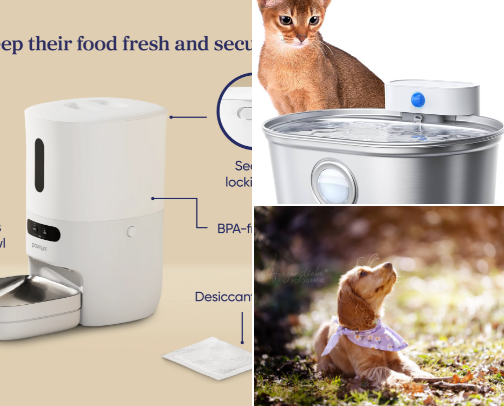 Great Pet Finds cover photo collage