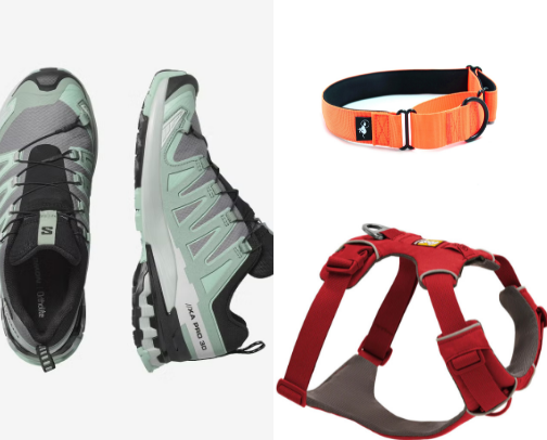 My NZ dog walking essentials cover photo collage