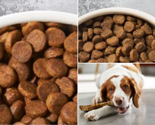 Pur your pets cover photo collage