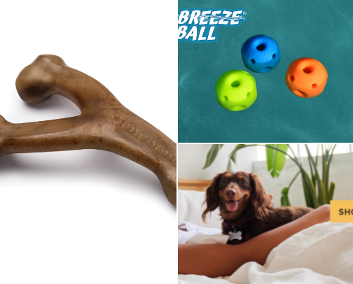 For the pups cover photo collage