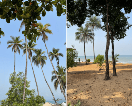 West Africa Travel Must Haves cover photo collage