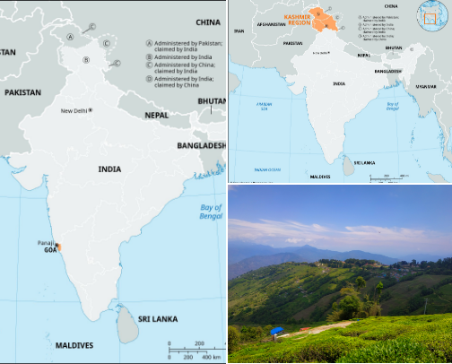 Trending Places you must visit cover photo collage