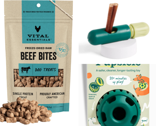 Dog Essentials cover photo collage