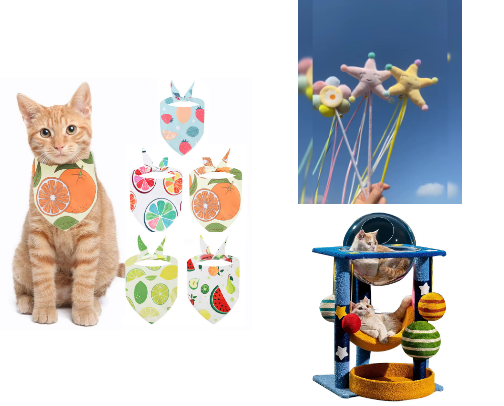 Accessoriess for cat cover photo collage