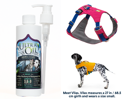 Dog Mom Essentials 🐶🐾🦴 cover photo collage