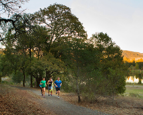 My top Santa Rosa recs cover photo collage