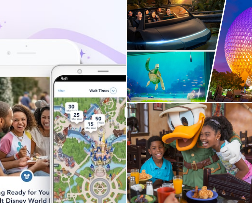 First-Timer's Disney World Game Plan cover photo collage