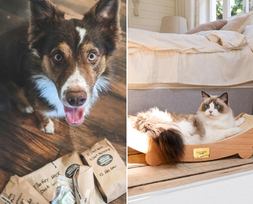 Four-Legged Life cover photo collage