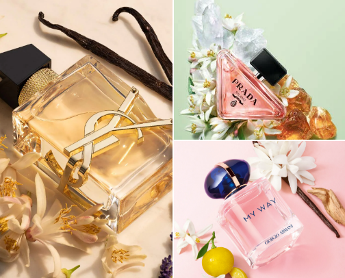 All things parfumes😻 cover photo collage
