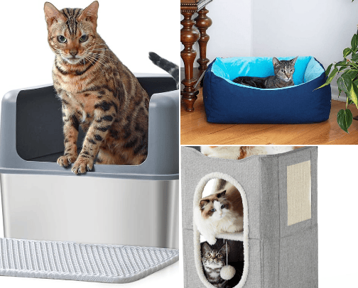 Cat things🐱 cover photo collage
