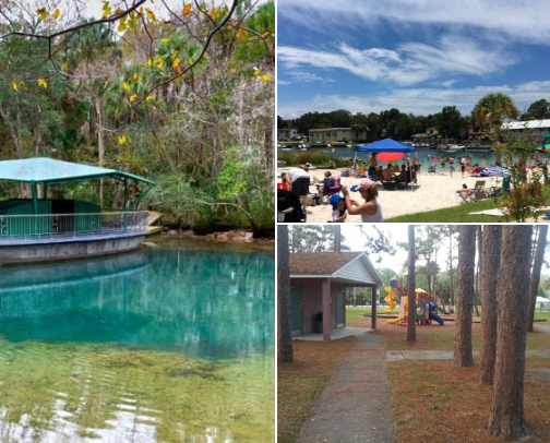 Things to Do Near Homosassa Florida cover photo collage