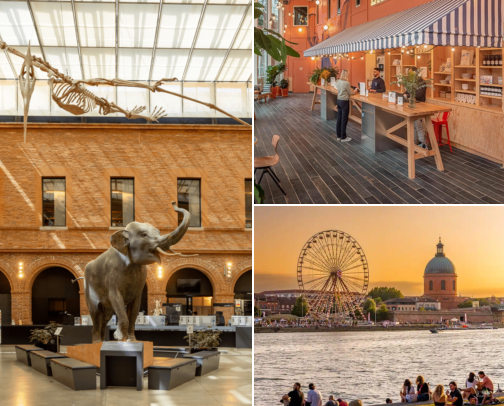 Toulouse, France: museums, churches, stays and easy city days cover photo collage
