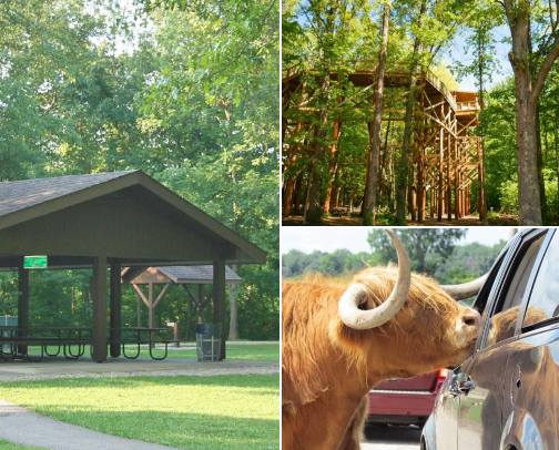 Places to visit in Ohio cover photo collage