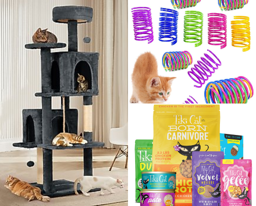 Fur baby finds cover photo collage