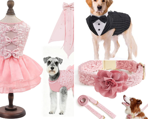 Best Dog & Dog of Honor 🐾💍💕 cover photo collage