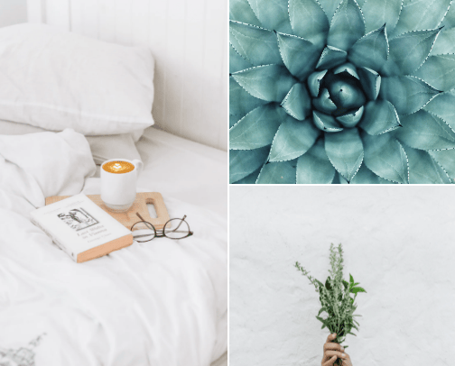 Mindful Insights: Navigating the Path to a Vibrant Life cover photo collage