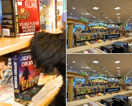 Books cover photo collage