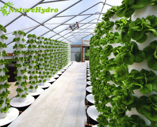 Agriculture & Horticulture cover photo collage