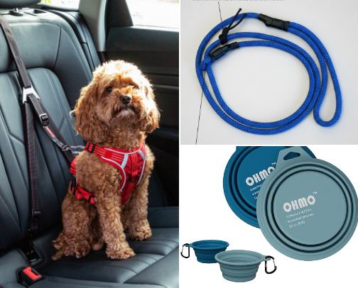 Dog friendly items cover photo collage