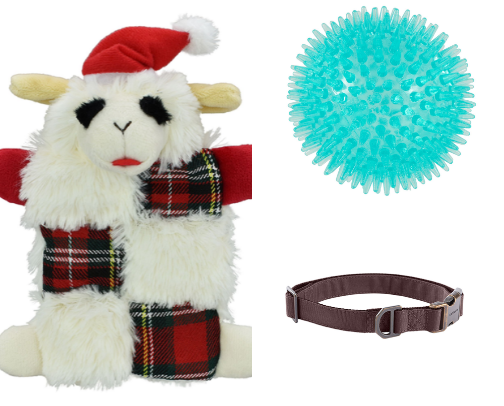 All things dog🐶🐾 cover photo collage