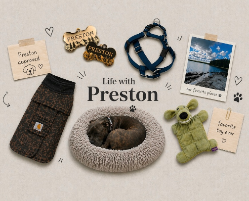 Life with Preston🐶🐾 cover photo collage