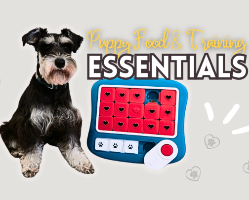 Puppy Food & Training Essentials — Bowls, Treats & Enrichment (Small-Dog Safe) cover photo collage